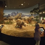Delaware Museum of Natural History