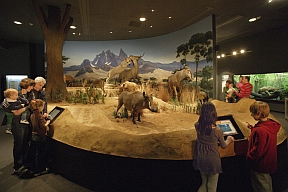 Delaware Museum of Natural History