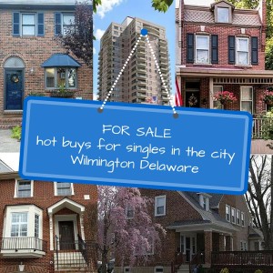 FOR SALE- Hot Buys for Singles in the City of Wilmington Delaware August 2015