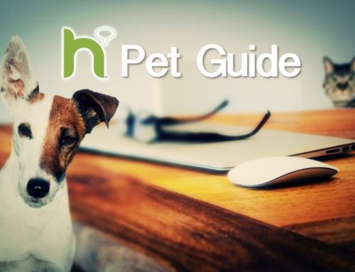 Happening Pet Guide