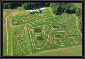 Ramseys Farm Maze