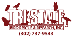 Tri-State Bird Rescue logo