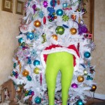 Photo of the Week: Grinch stealing Christmas