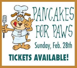 pancakes for paws