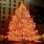 2012 Holiday Parade & Tree Lighting Festivities