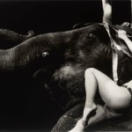 Circus-Photo-Lady-Elephant