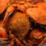 Eatin’ Hot Fat Blue Crabs
