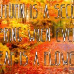 Falling into Fun: 50 Great Ideas to Enjoy Autumn