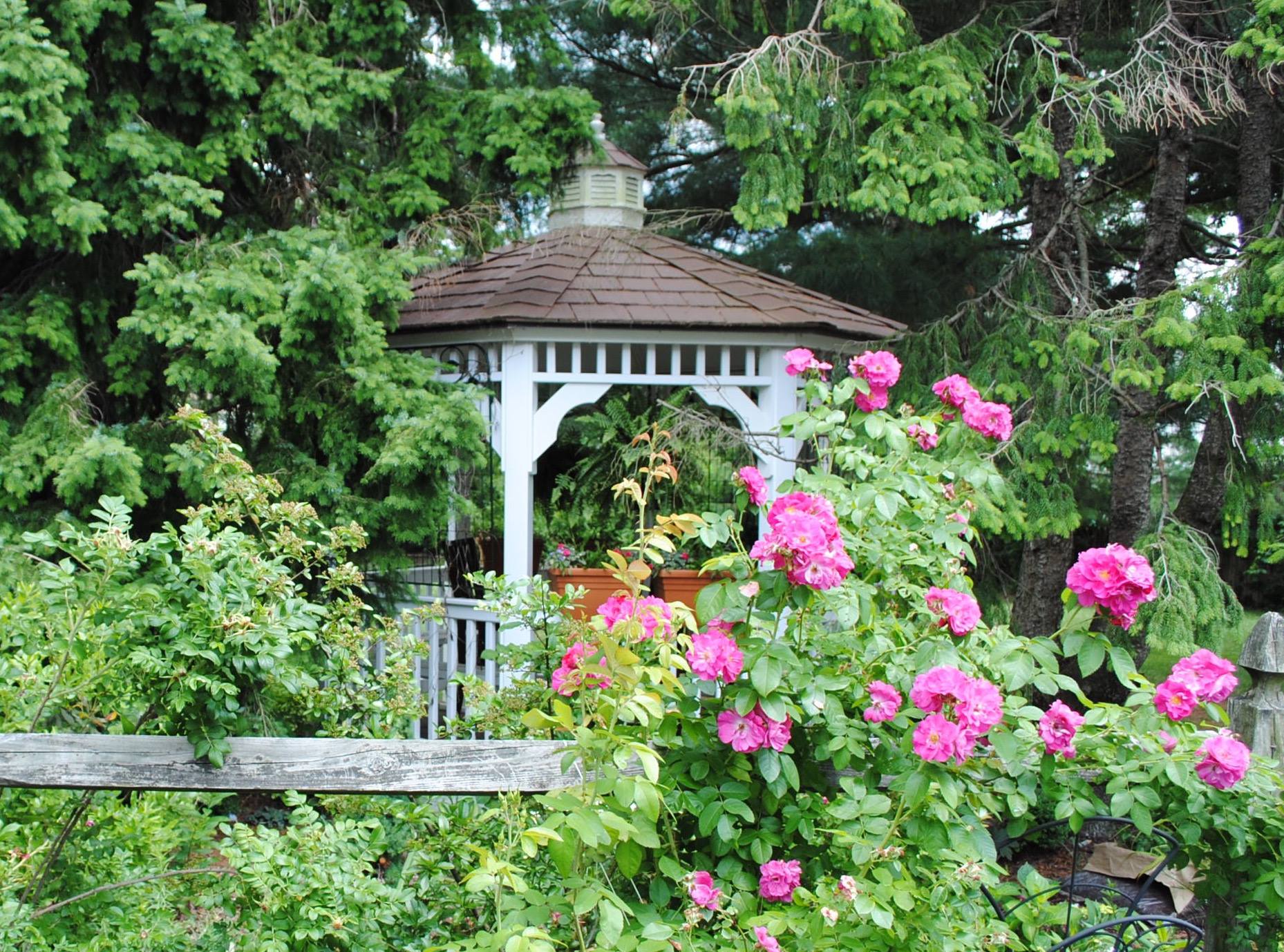 10+ Must See Gardens in North Delaware