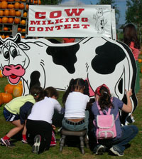 Milburn Cow Milking Contest