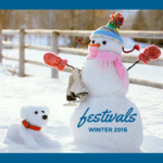 10+ Winter Festivals to Heat You Up