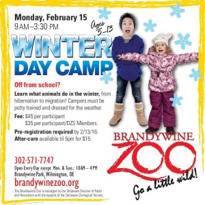 Winter Camp on Presidents Day at the Brandywine Zoo 2016