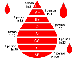 bloodtypes