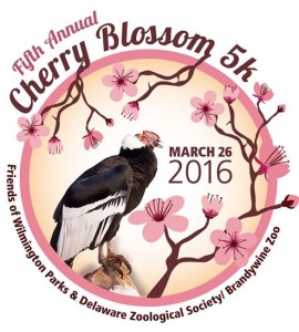 Cherry Blossom 5k Brandywine park Wilmington