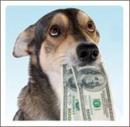 Dog-With-Money